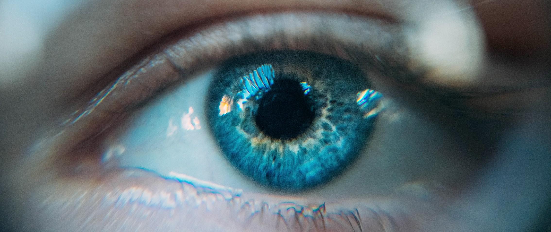 Our vision SECO Group